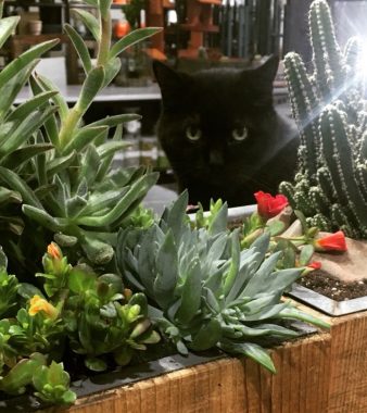 One-of-a-kind shop finds