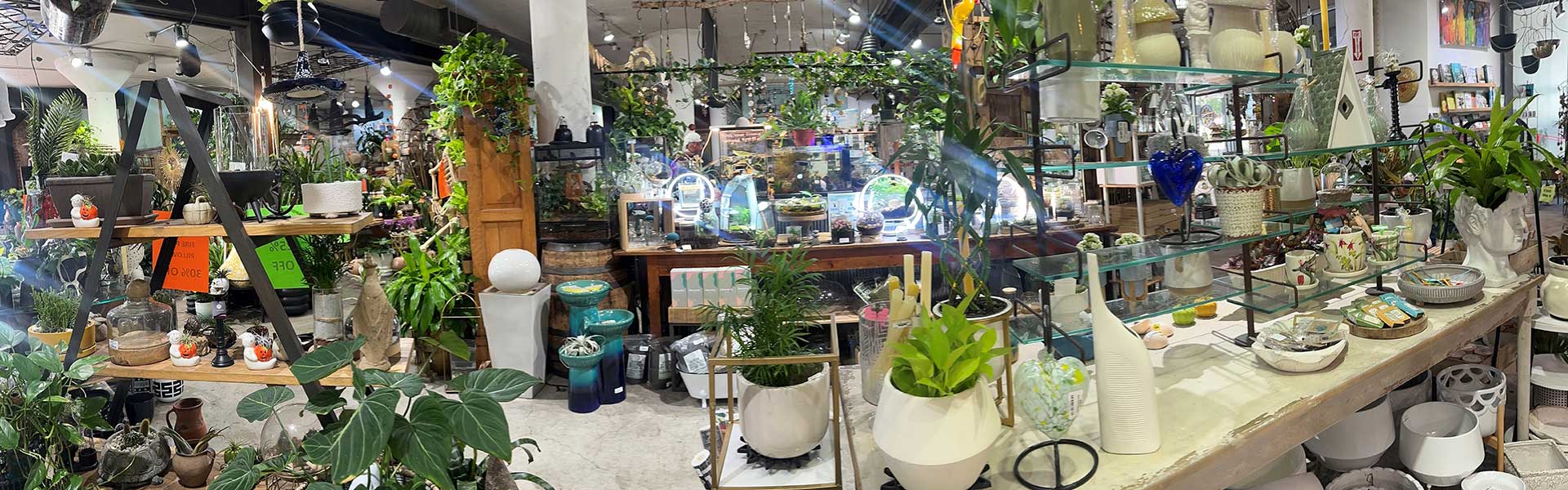 Inside Ruibal's Garden Shop — pottery, planters and décor on the shelves