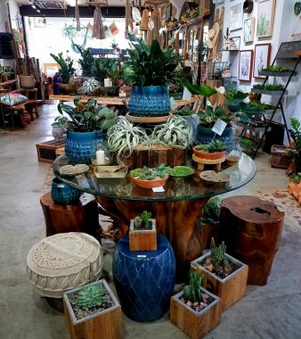 Pottery and planters